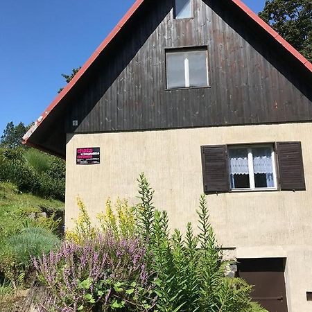 Chata U Koupaliste Chřibská Kültér fotó